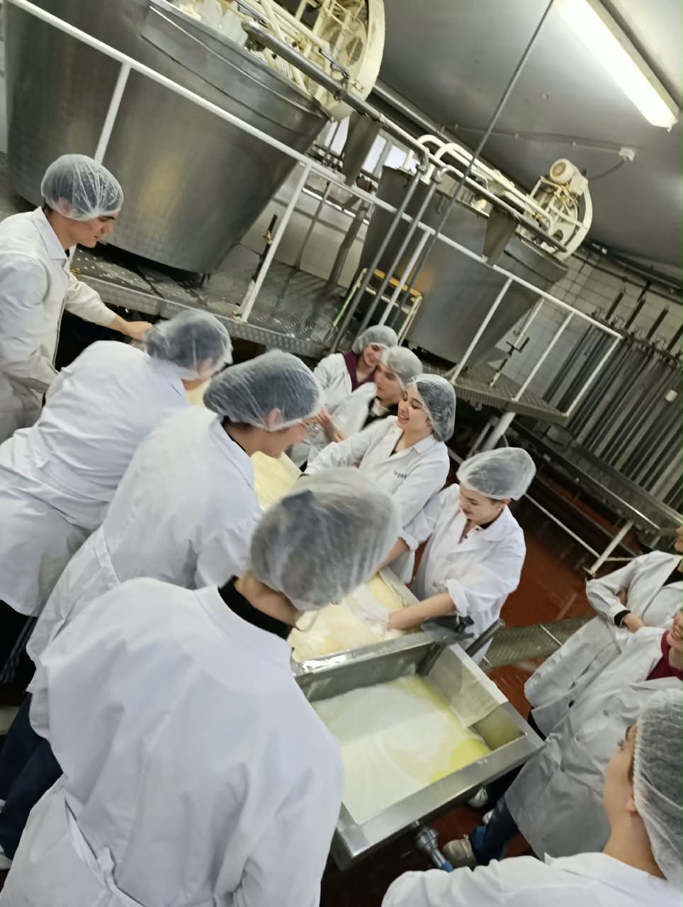 Alumnos trabajando